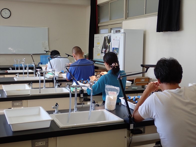 神奈川県立海洋科学高校の教員による挿核
