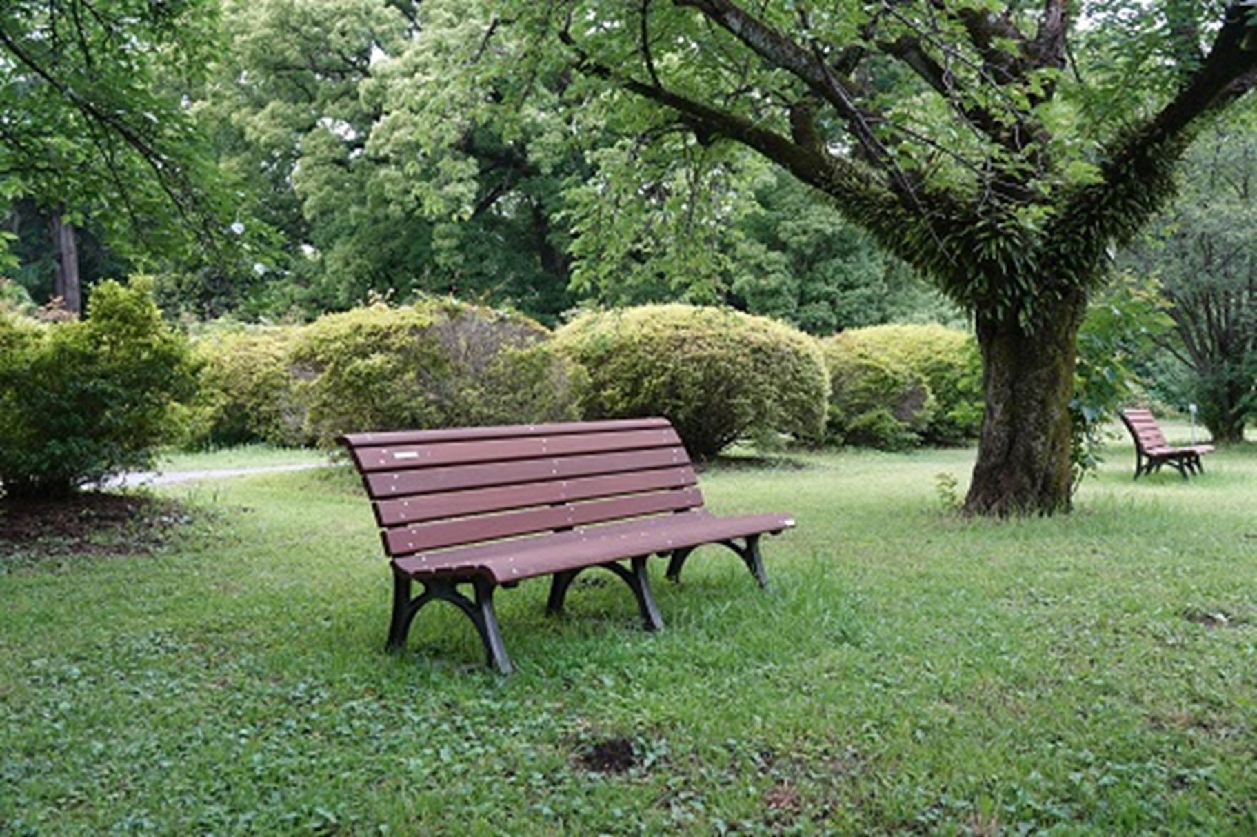 bench.jpg