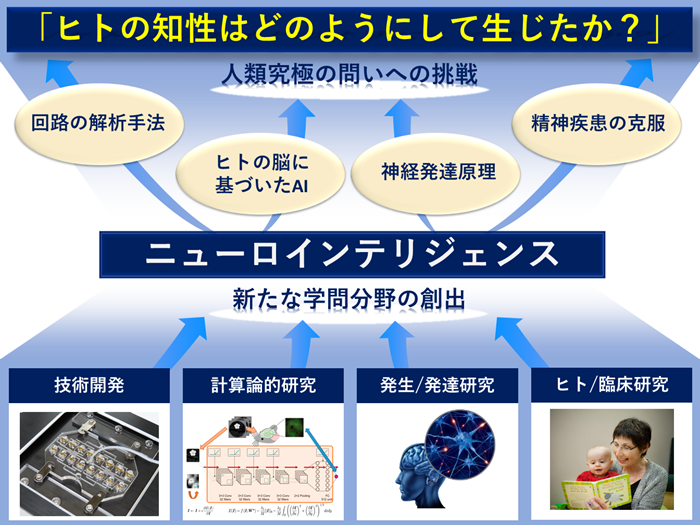 IRCN基金「ニューロインテリジェンス」日本語版.PNG