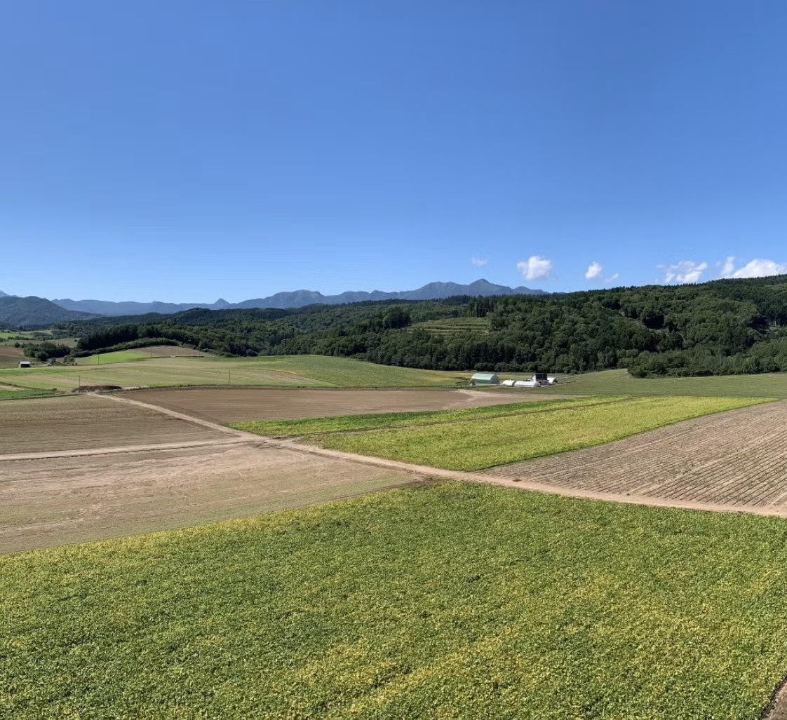 0高所での採取作業　絶景（写真）.jpg