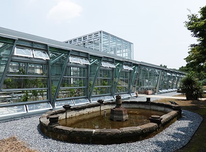 greenhouse2.jpg