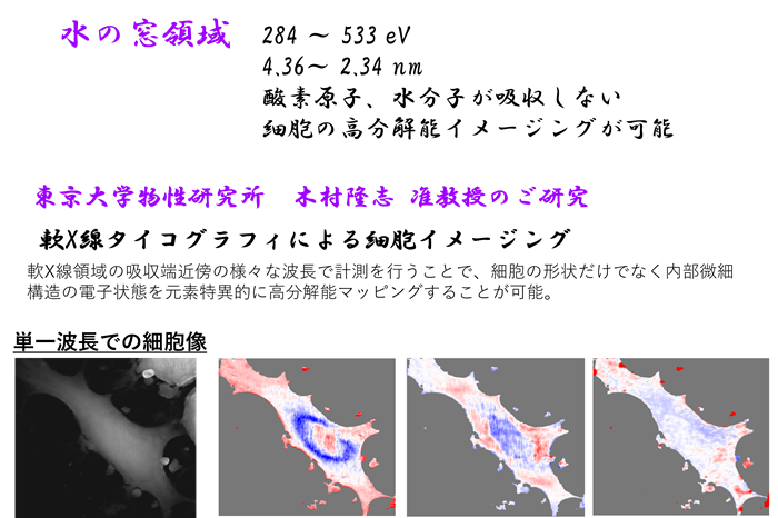 細胞イメージング.png
