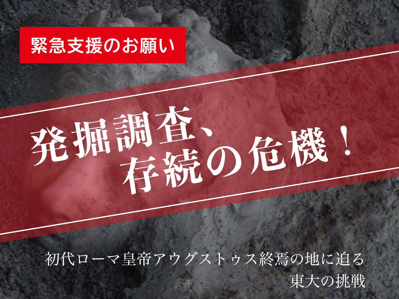 PJ画像