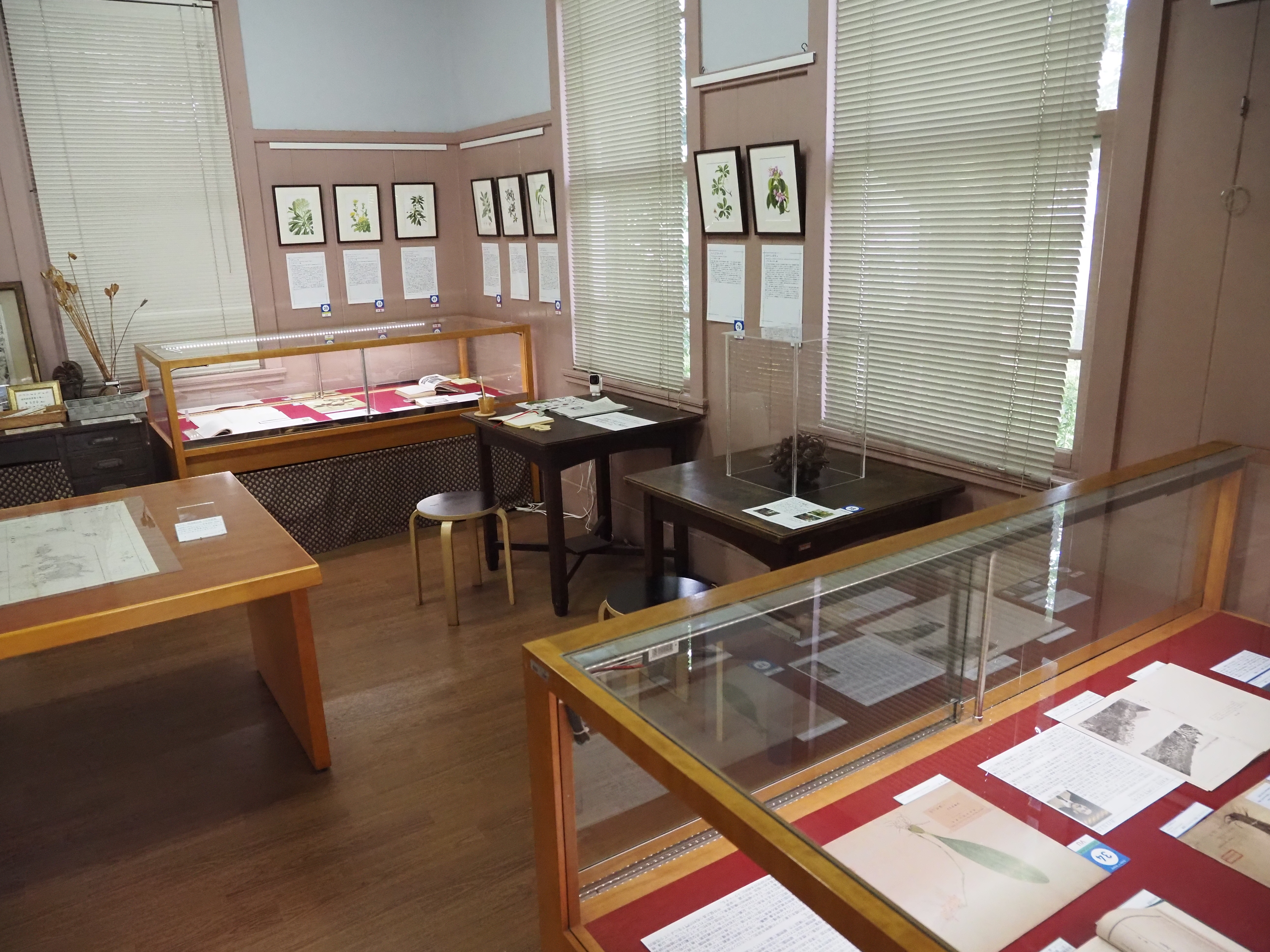 柴田記念館展示.jpg