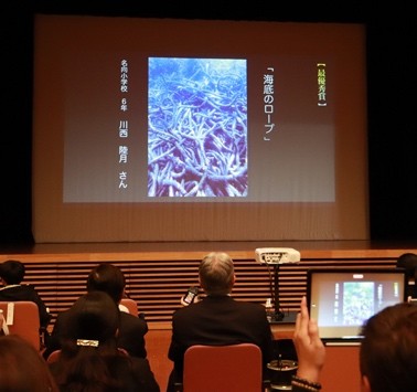 海底のロープ.jpg
