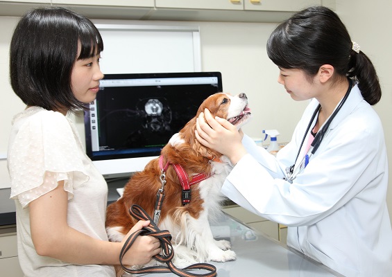 The University of Tokyo Veterinary Medical Center Future Fund | 東京大学基金