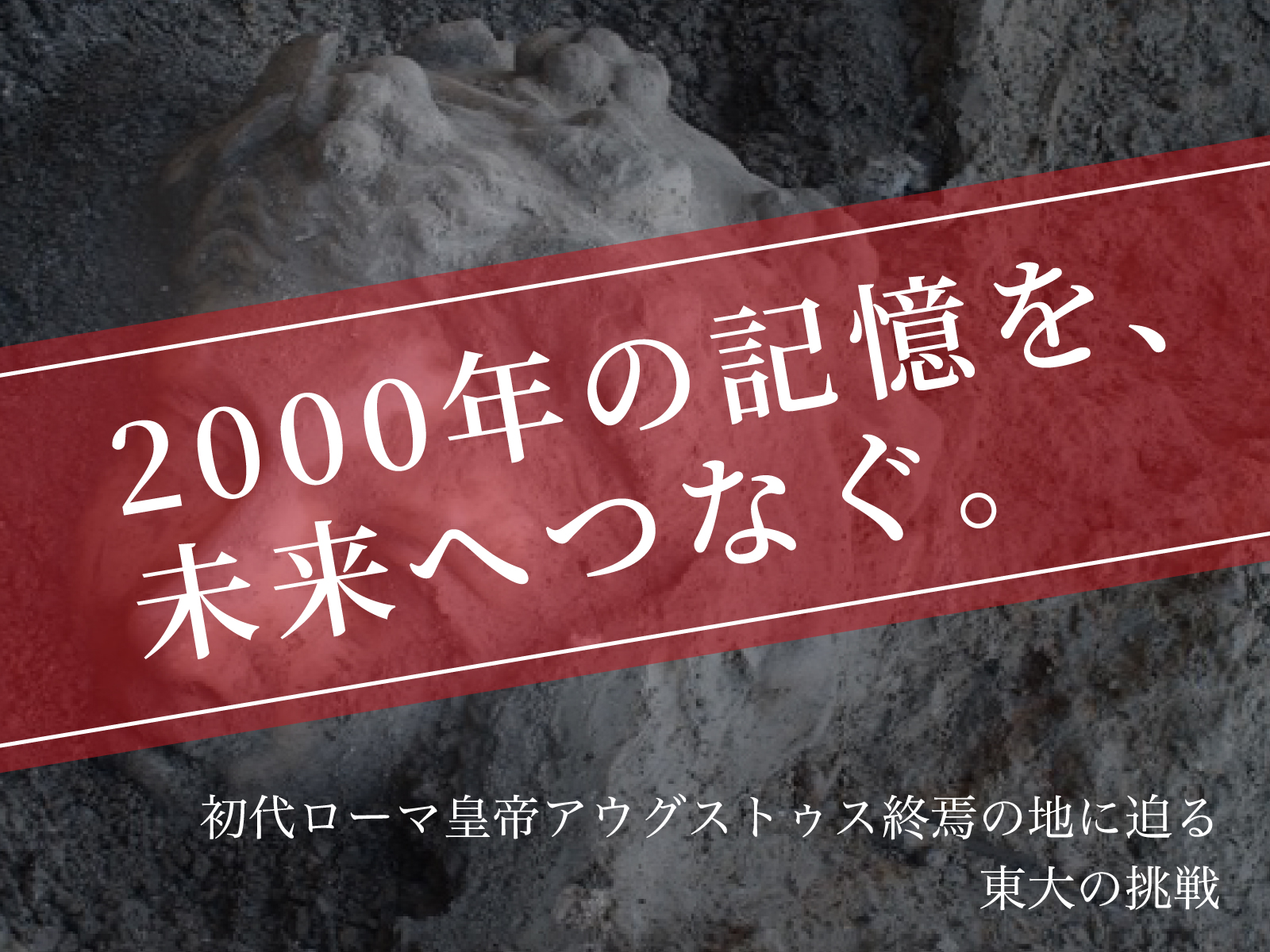 PJ画像