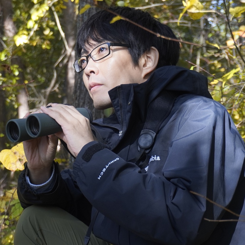 コンテンツ画像